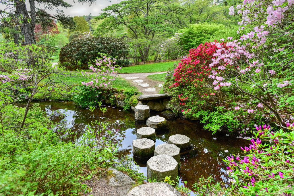 photo of Asticou,Azalea,Gardens,Mount,Desert