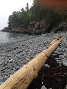 Photo of the rocky beach at Compass Harbor, Bar Harbor Maine